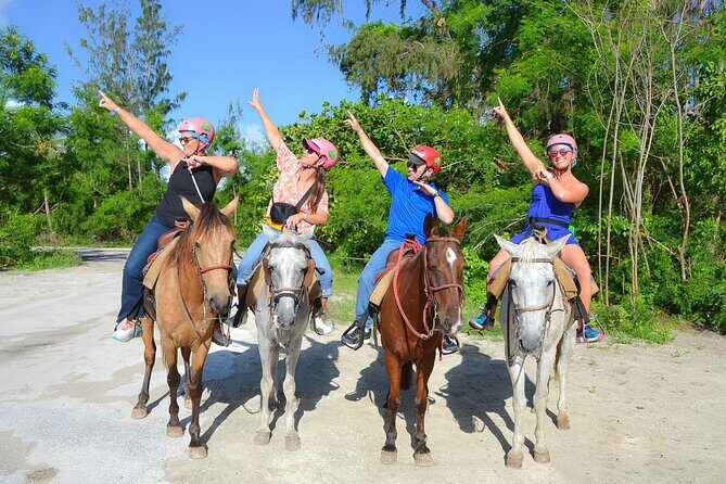 Horseback Riding on the Beach Free Transportation - A Practical Look at the Tour Experience