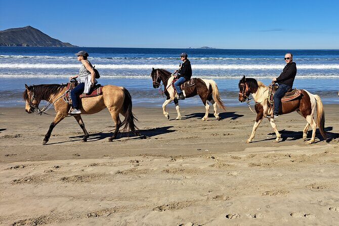 Horseback Riding on the Beach from Ensenada - The Value Proposition