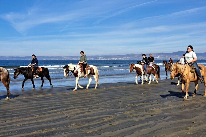 Horseback Riding on the Beach from Ensenada - Final Thoughts