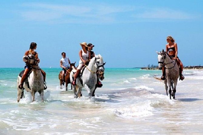 Horseback Riding on the Beach in Punta Cana (One Hour) - Final Thoughts: Is It Worth It?