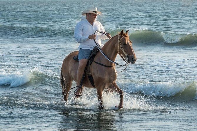 Horseback Riding on the beach with Colombian Paso Show, Cartagena - A Closer Look at the Horseback Riding on the Beach Tour