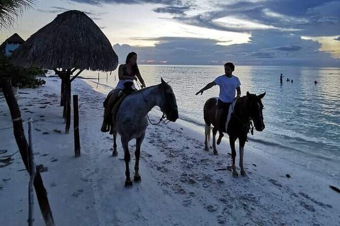 Horseback Riding on the Beaches of Holbox - An In-Depth Look at Horseback Riding on Holbox’s Beaches