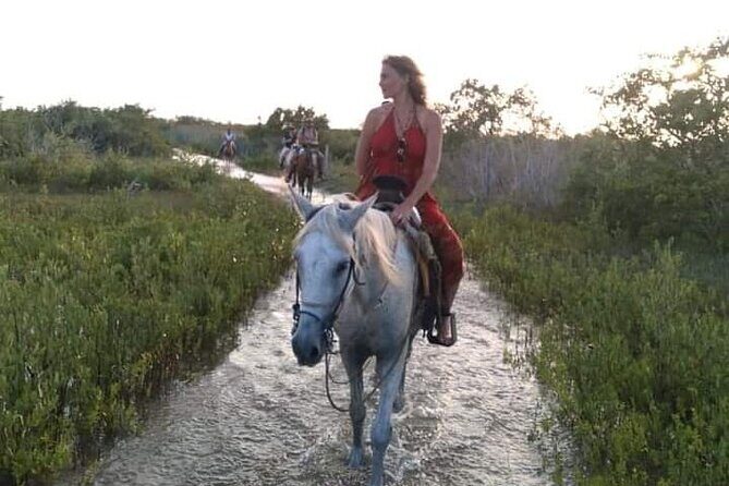 Horseback Riding on the Beaches of Holbox - FAQ
