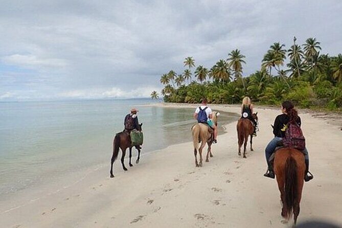 Horseback Riding on the Beaches of Punta Cana - Who Should Consider This Tour?