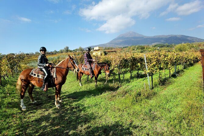 Horseback Riding on Vesuvius - The Value of This Experience