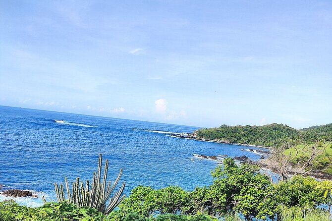 Horseback Riding Playa Larga - Key Points