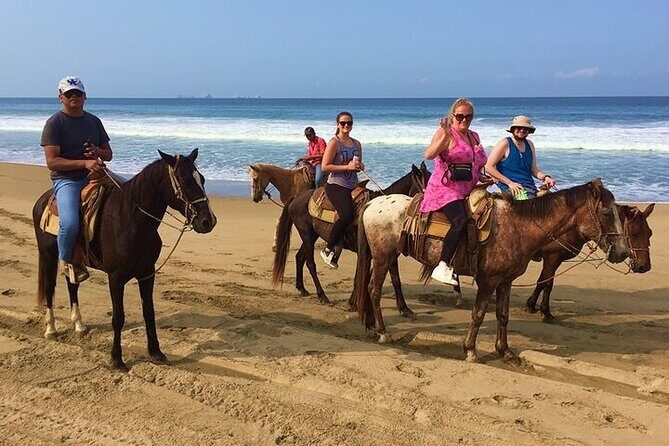 Horseback Riding Playa Larga - A Deeper Look into the Experience