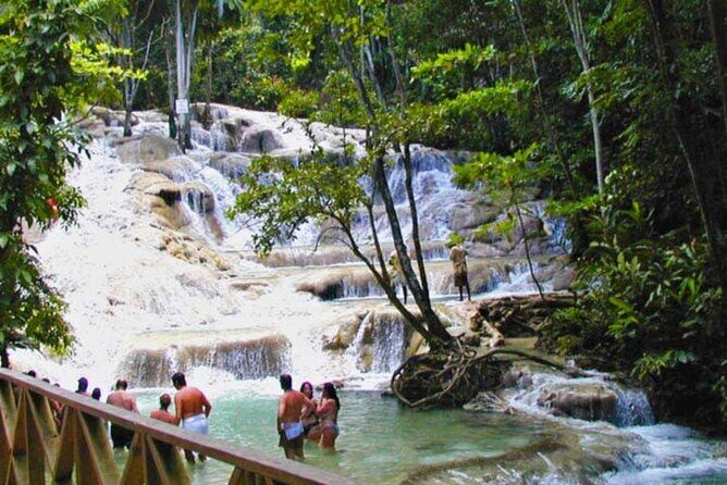 Horseback Riding plus Dunns River Falls Combo Private Tour - Analyzing the Experience in Detail