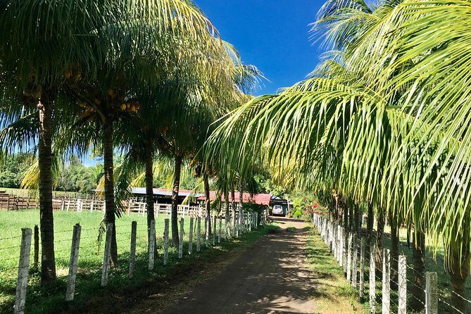 Horseback Riding Private Tour - Key Points