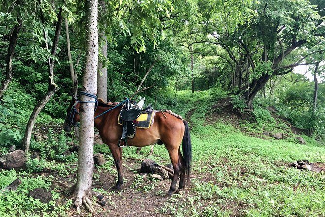 Horseback Riding Private Tour - Final Thoughts