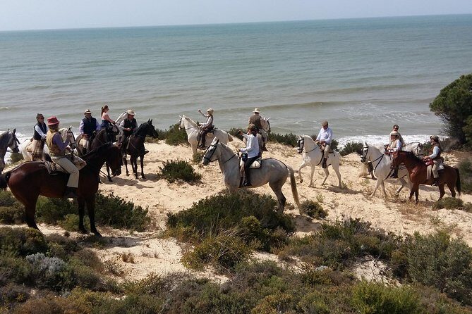 Horseback riding through Doñana and visit of El Rocio - Private tour - Exploring the Natural Beauty of Doñana