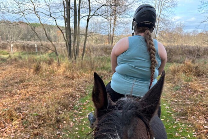 Horseback Riding Through Scenic Park in Brookeville - Horseback Riding Through Scenic Park in Brookeville: A Genuine Nature Escape