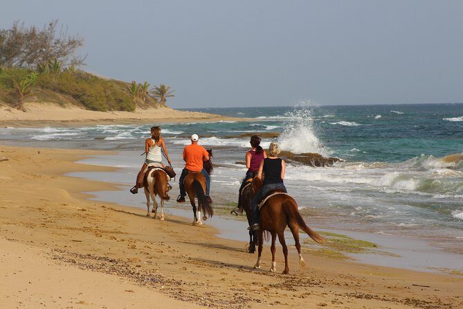 Horseback Riding through Secluded Beaches and Tropical Forests - A Deep Dive into the Puerto Rican Horseback Adventure