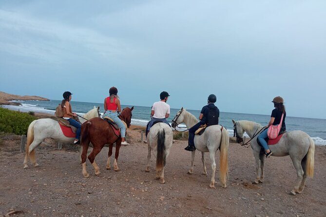 Horseback riding through the Calblanque Natural Park - The Practicalities
