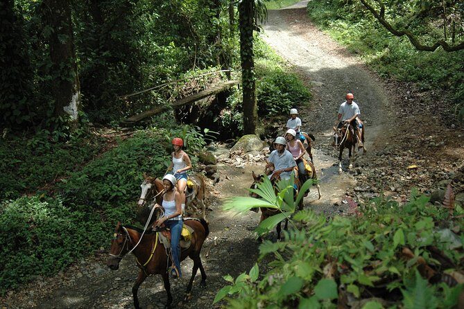 Horseback Riding through the Jungle - The Heart of the Jungle: What to Expect