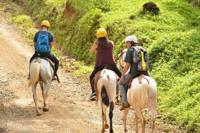 Horseback Riding through the Jungle - What to Expect from This Horseback Riding Tour