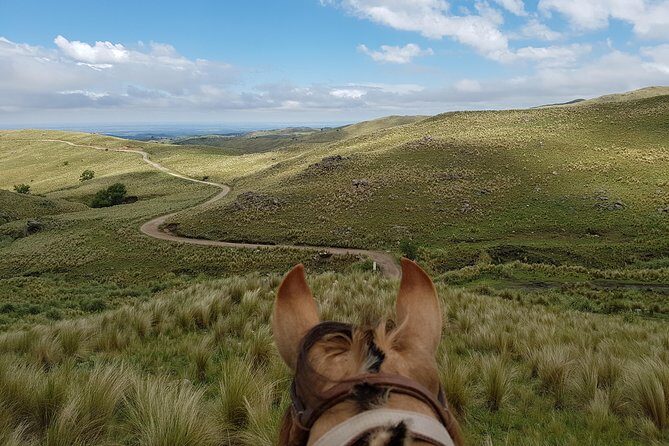 Horseback riding through the Sierras - Why This Tour Is Worth Considering