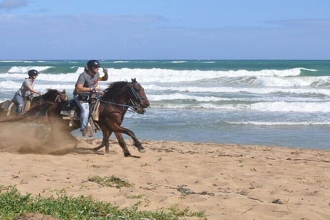 Horseback Riding to Maimon River from Punta Cana - Final Thoughts