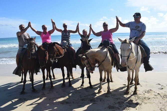 Horseback Riding Tour Adventure on the Beach - A Genuine Beachfront Horseback Riding Experience in Punta Cana