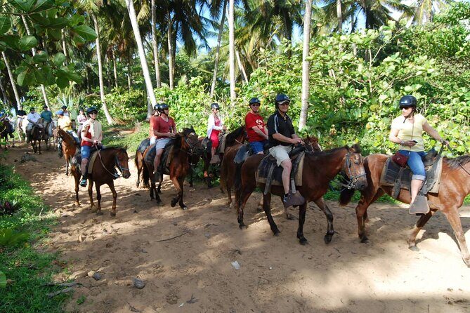 Horseback Riding Tour along the Beaches of Punta Cana - Who Will Love This Tour?