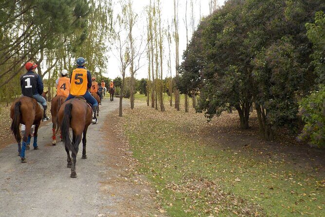 Horseback Riding Tour and Polo in Argentine Countryside - The Sum Up
