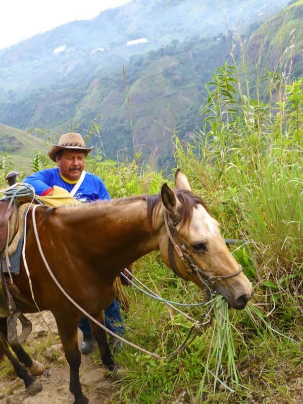 Horseback Riding Tour and visit to Tablón, Chaquira, Pelota - Exploring the San Agustin Horseback Riding Experience