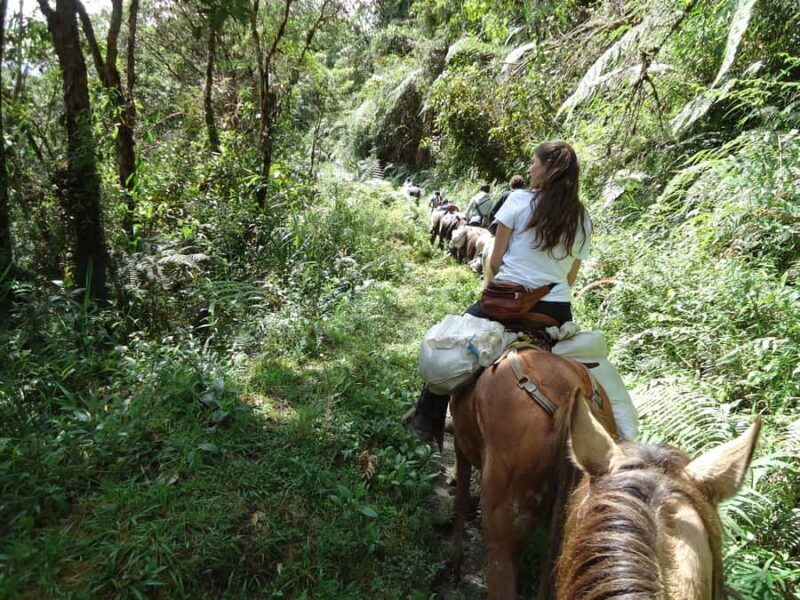 Horseback Riding Tour and visit to Tablón, Chaquira, Pelota - Who Will Appreciate This Tour?