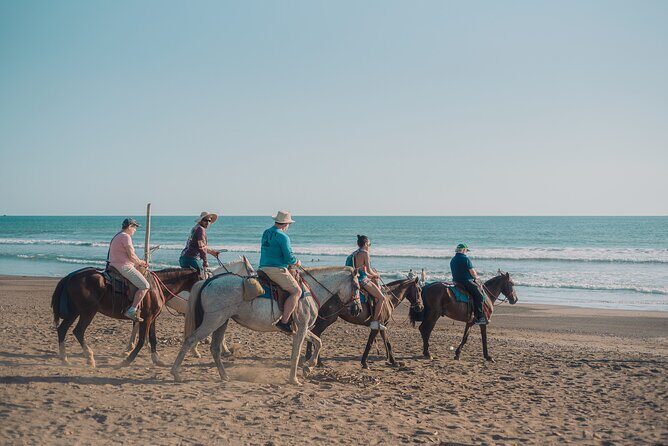 Horseback Riding Tour. Beach and Ocean View. - FAQs