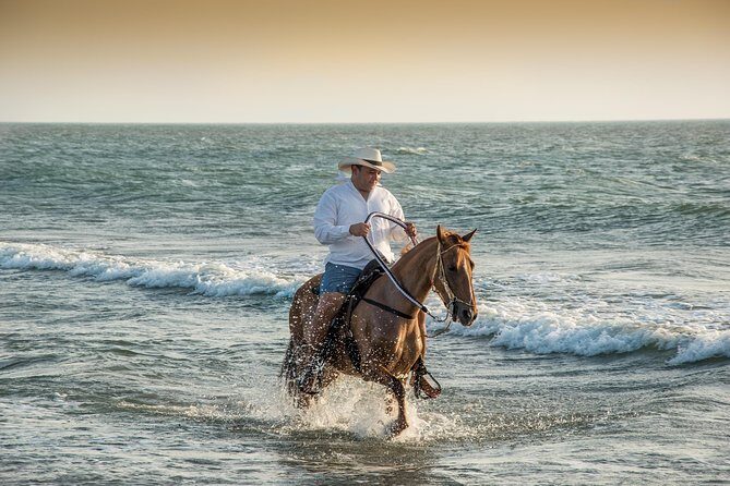 Horseback riding tour in a Colombian Paso fino horse - Key Points