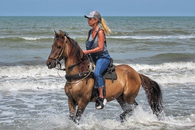 Horseback riding tour in a Colombian Paso fino horse - Detailed Review of the Horseback Riding Experience in Cartagena