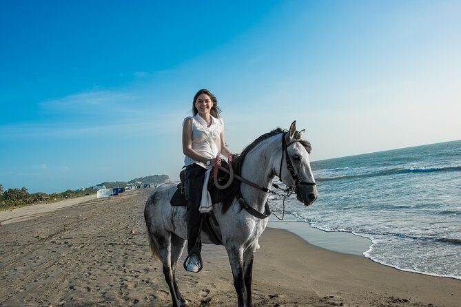 Horseback Riding Tour in Beach of Cartagena - The Sum Up