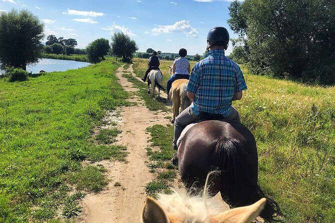 Horseback Riding Tour In Brasov - Ride Through Fields, Forests & Hills - The Experience at a Glance