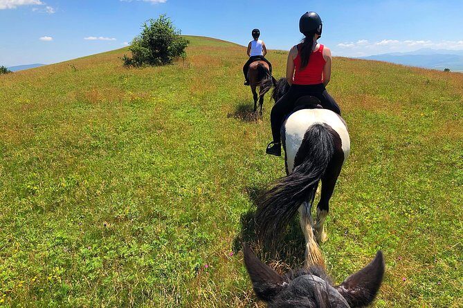 Horseback Riding Tour In Brasov - Ride Through Fields, Forests & Hills - Why Choose This Tour?