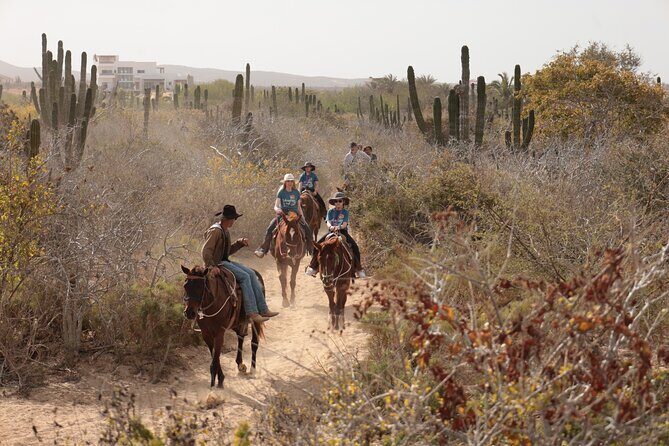 Horseback Riding Tour in Cabo San Lucas - FAQ