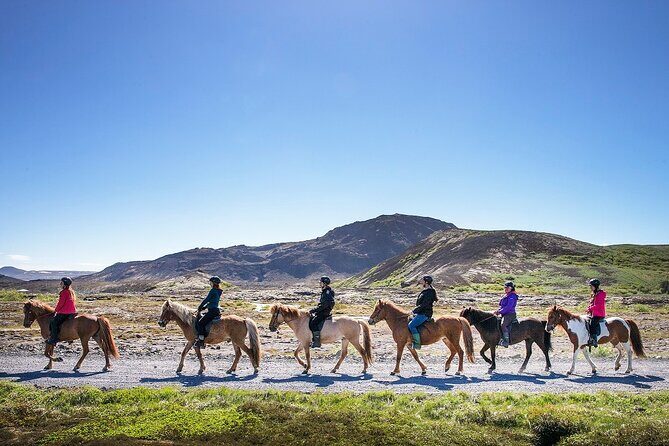 Horseback Riding Tour in Iceland - Who Will Love This Tour?
