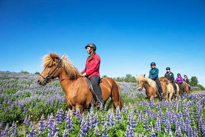 Horseback Riding Tour in Iceland - Frequently Asked Questions