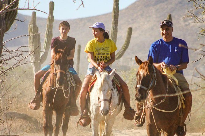 Horseback Riding Tour in Los Cabos - Horseback Riding Tour in Los Cabos: A Perfect Blend of Nature, Adventure, and Flavor