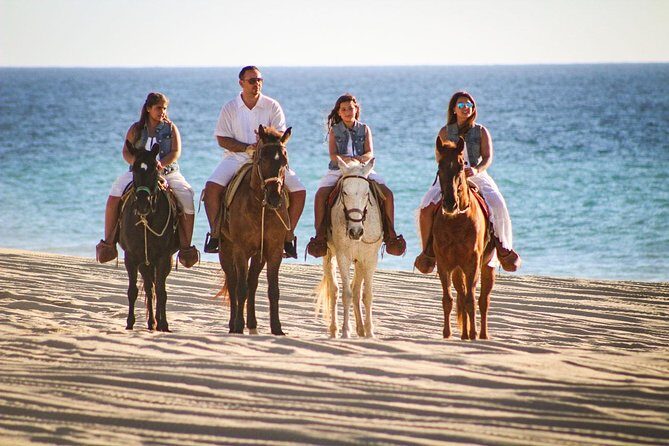 Horseback Riding Tour in Los Cabos - Exploring the Horseback Riding Experience in Los Cabos
