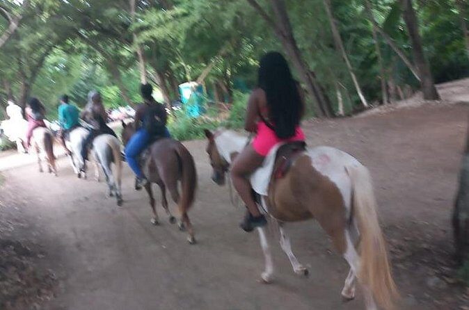 Horseback Riding Tour in Playa Maderas, San Juan del Sur also in Costa Rica - Final Thoughts
