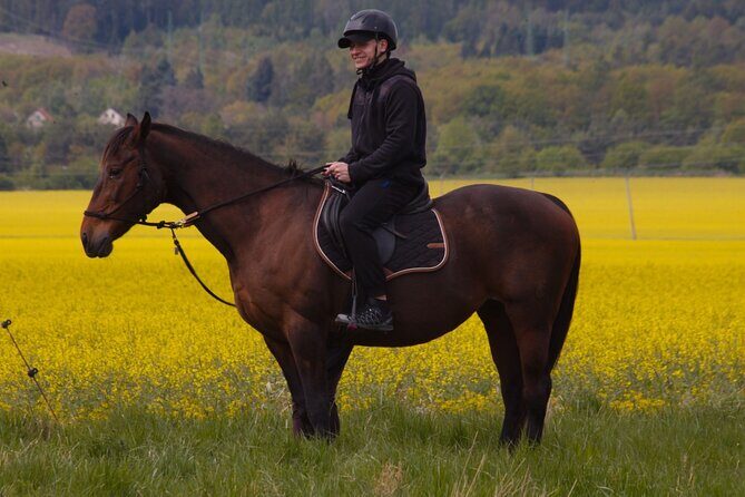 horseback riding tour in Prague - Key Points