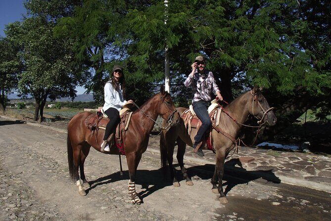 Horseback Riding Tour in The Agave Field with Lunch - Exploring the Itinerary in Detail