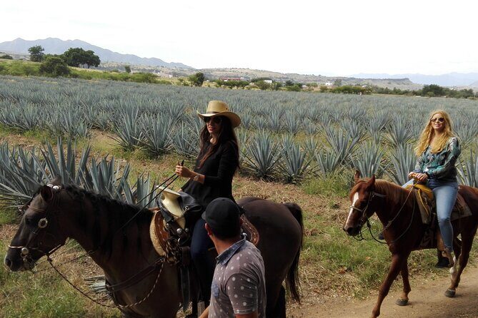 Horseback Riding Tour in The Agave Field with Lunch - FAQ