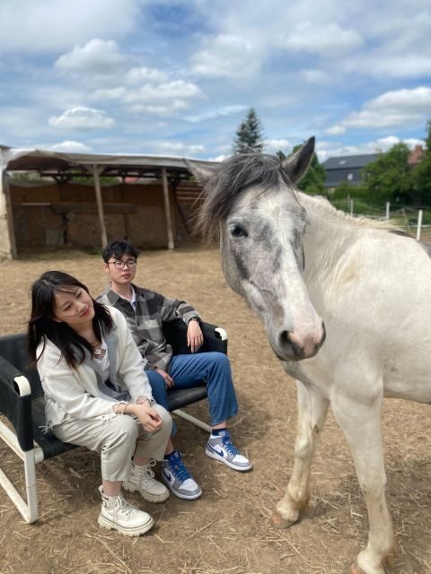 Horseback riding tour near Prague - In-Depth Review of the Horseback Riding Experience Near Prague