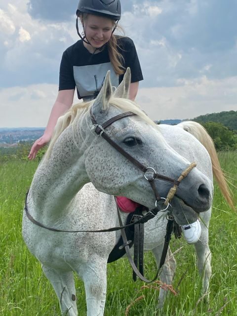 Horseback riding tour near Prague - The Itinerary: What to Expect