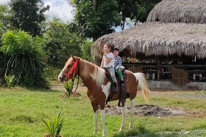Horseback Riding tour near Santo Domingo with pick up and dropoff - Key Points