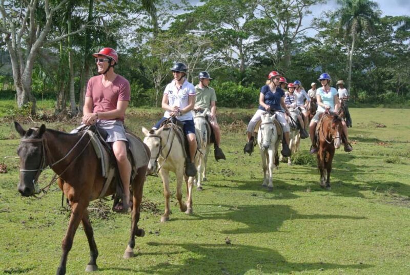 Horseback Riding Tour of Punta Cana - Key Points