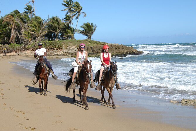 Horseback Riding Tour on the Beaches of Punta Cana - The Experience: Riding Through the Heart of Punta Cana’s Scenery