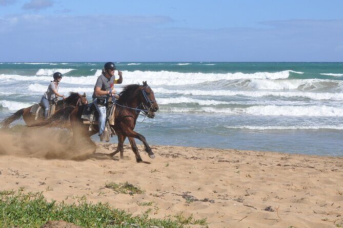 Horseback Riding Tour on the Beaches of Punta Cana - The Scenery: A Picture-Perfect Backdrop