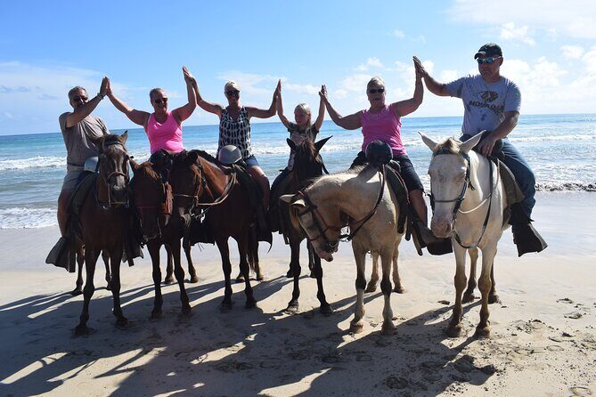 Horseback Riding Tour on the Beaches of Punta Cana - Who Will Love This Tour?