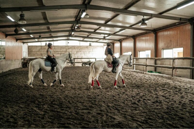 Horseback Riding Tour - Final Thoughts: Is It Worth It?